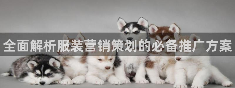 必赢网下载