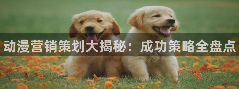 必赢手机app下载最新版安卓苹果可以用吗