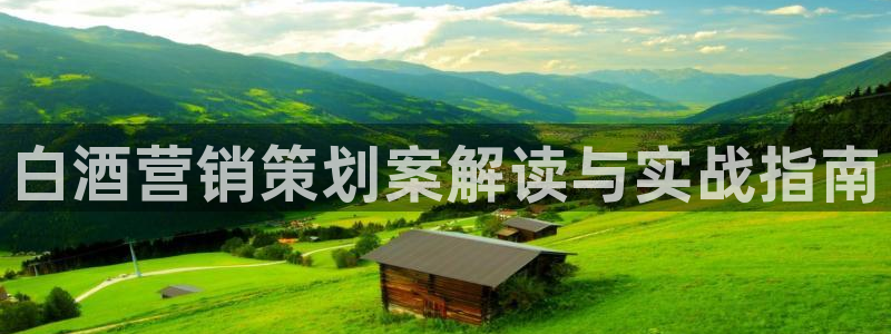 必赢app是干什么的