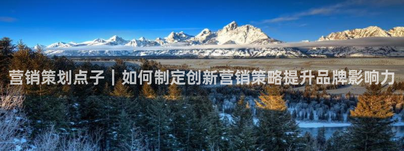 必赢3003平台