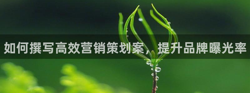 必赢集团网站官网