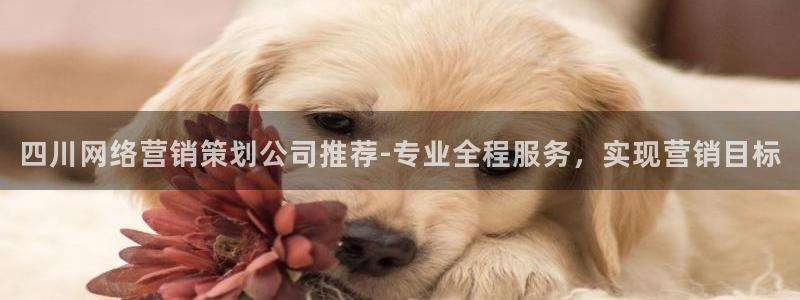 必赢国际的网站多少