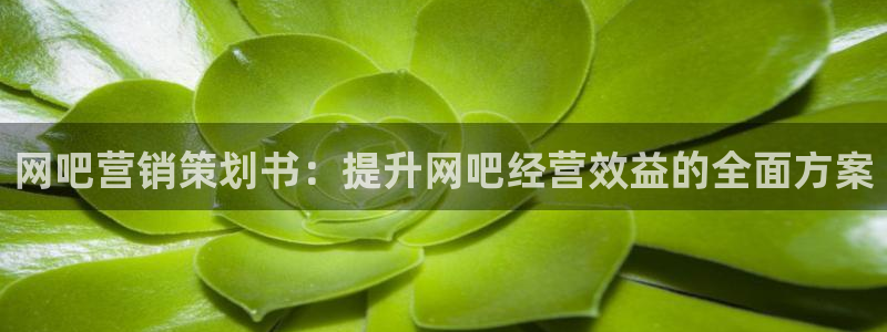 必赢下载软件