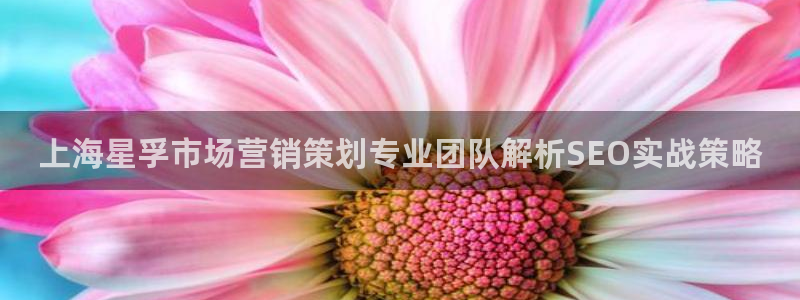 必赢手机app下载最新版安卓苹果可以用吗