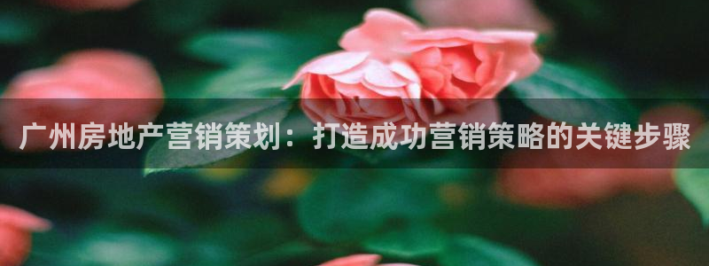 必赢国际437网页版