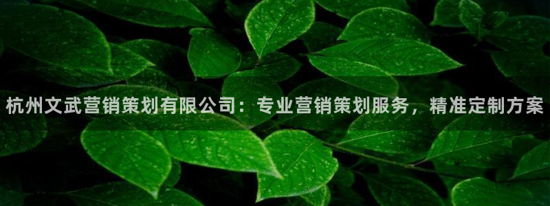 必赢手机版官网