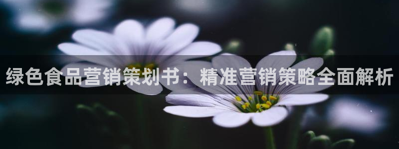 必赢国际网站合法吗