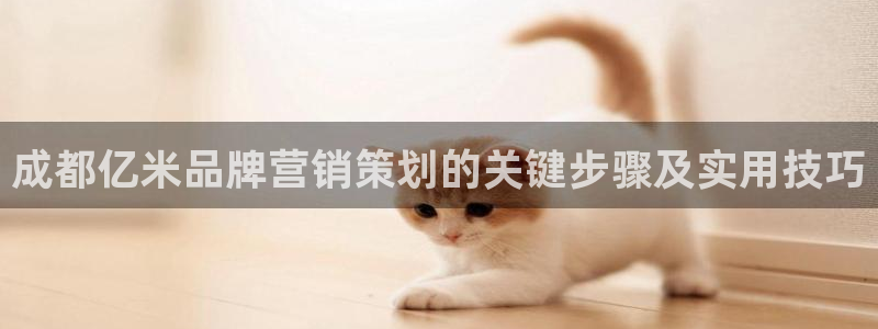 必赢这个平台怎么样可靠吗