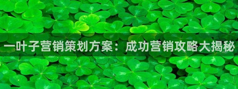 必赢官网入口下载安装苹果