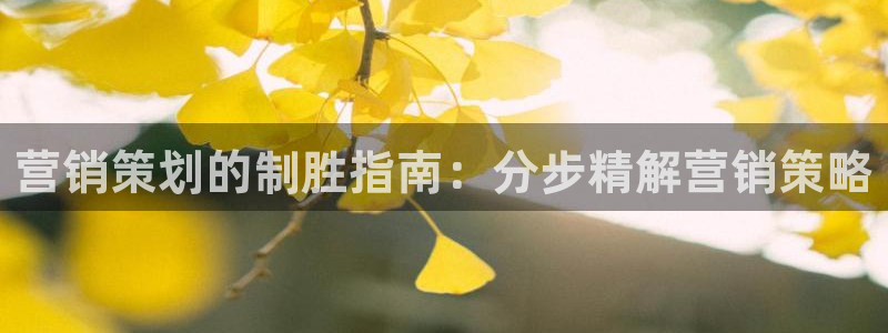 必赢平台官方客服电话
