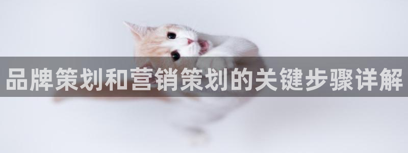 必赢下载安卓版官网