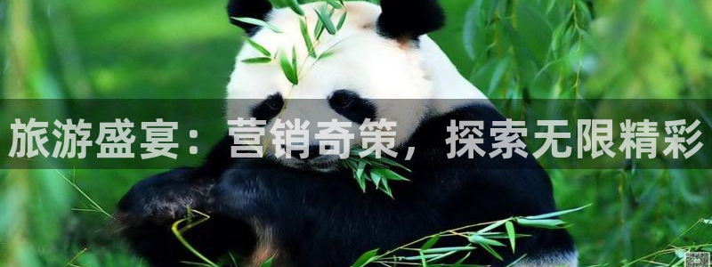 必赢线上网址