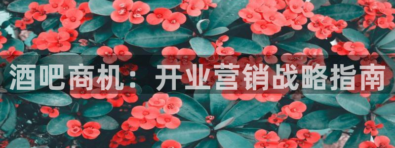 必赢72886后面字母是多少