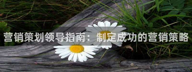 必赢最新官网