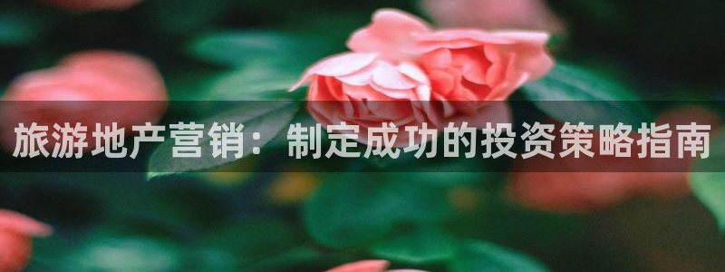 必赢官网网站首页下载