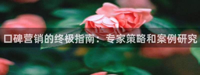 必赢最新网页
