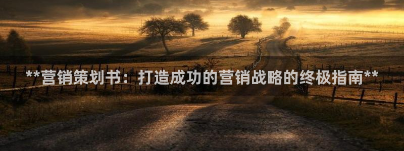 必赢平台电子