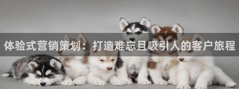 必赢是真的吗