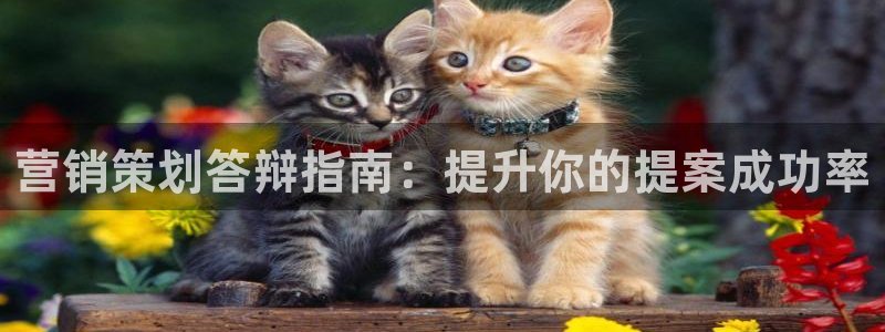 必赢3003am