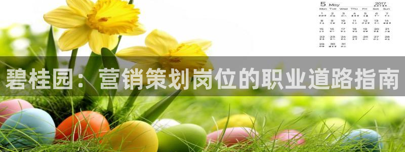 必赢最新网页