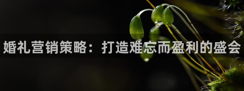 数三十游戏必赢技巧