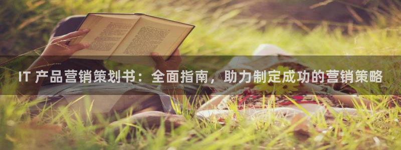 必赢516net怎么进
