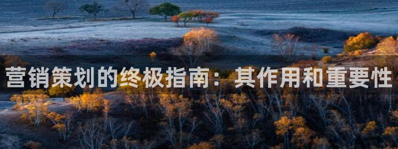 必赢官网app下载安装