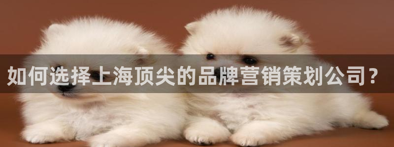 必赢手机app下载最新版安卓苹果可以用吗