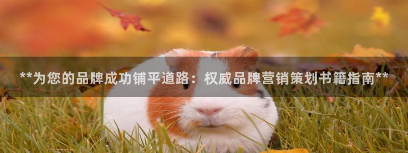必赢3003必赢贵族宾会