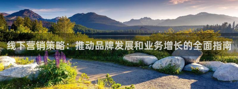 必赢官网网站首页入口