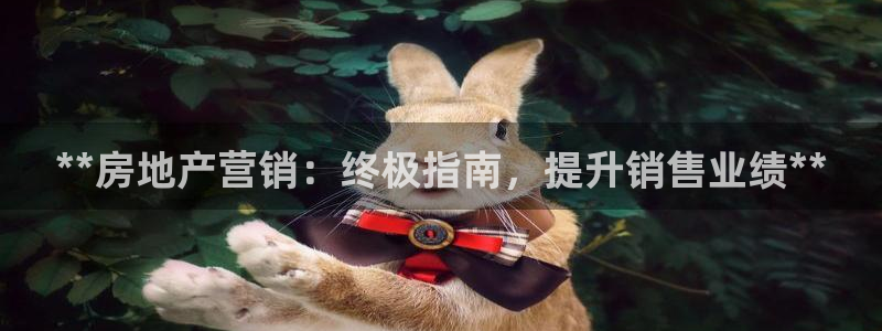 必赢手机版网站多少