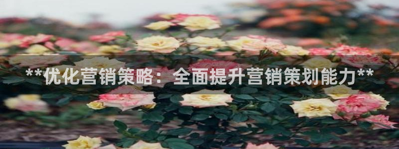 必赢437官网