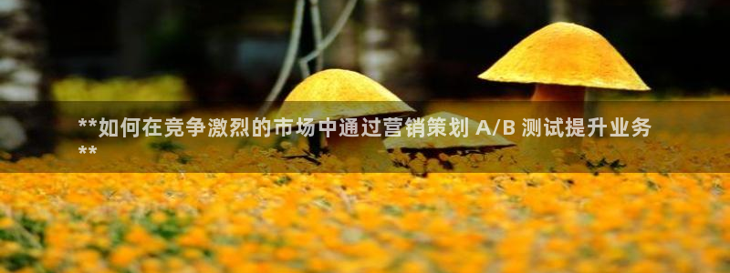 必赢官网网站