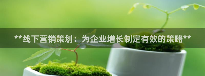 9965必赢游戏app大全
