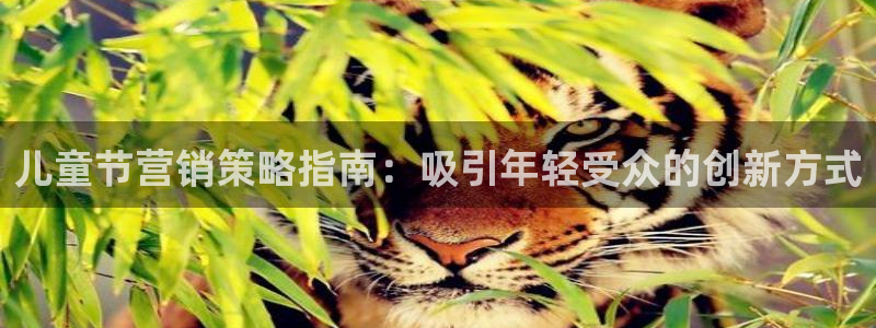 必赢网怎么打不开了呀