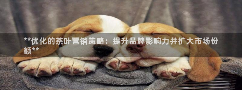 必赢官网入口下载安装