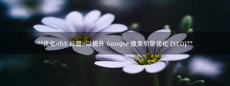 9965必赢游戏特色
