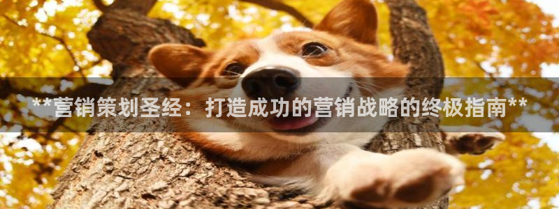 必赢网站是哪一个公司的