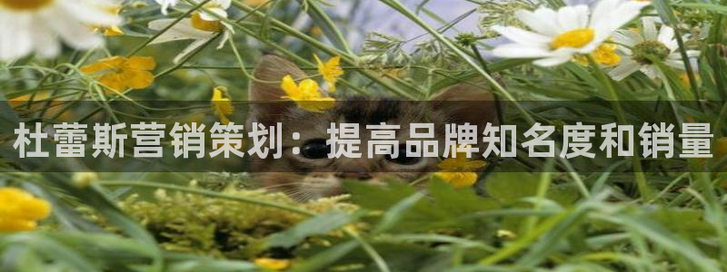 必赢集团网站是什么