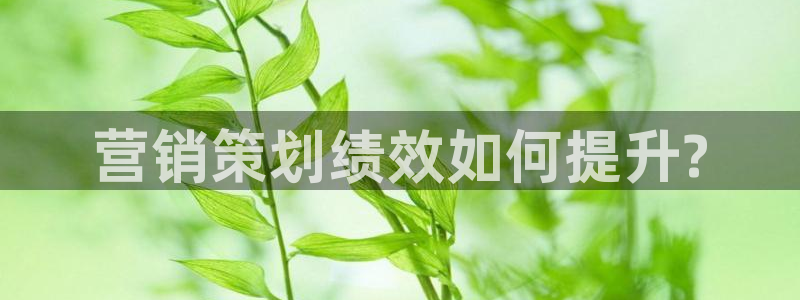 必赢国际437pay,comapp