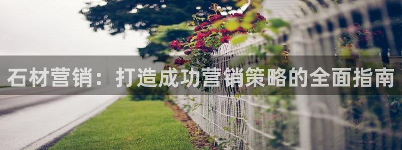 必赢网站是哪一个平台