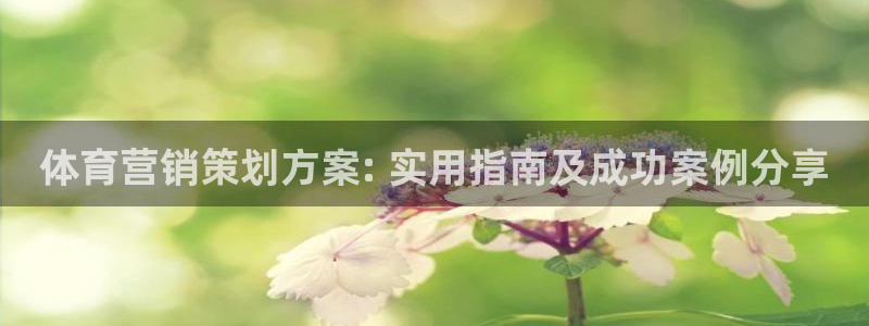 必赢宝app软件下载