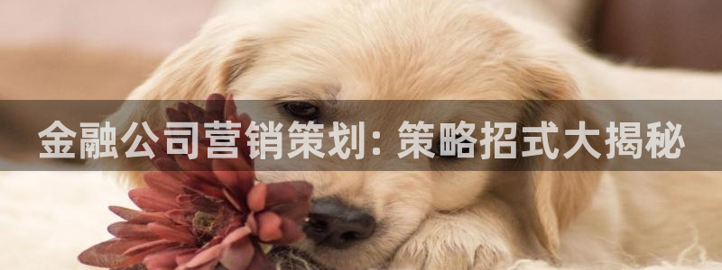 必赢最新消息