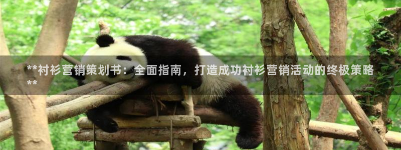必赢网站有哪些