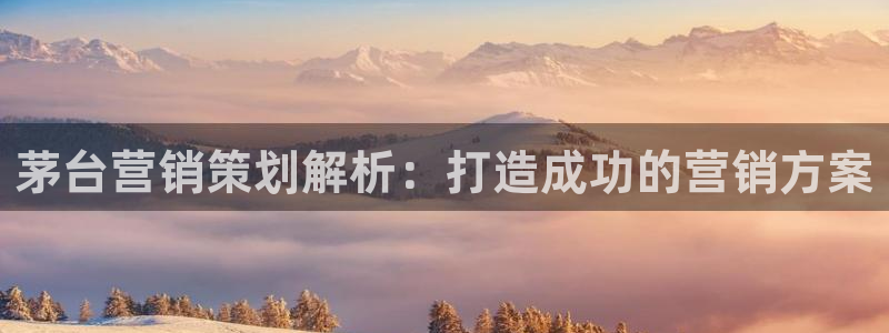 必赢平台网