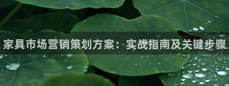 必赢集团