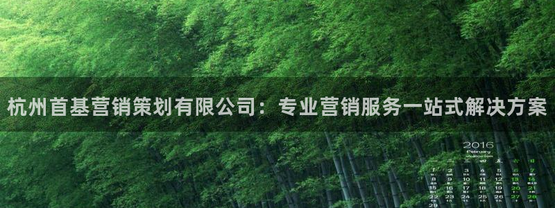 必赢科技有限公司