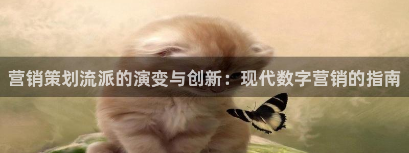 必赢官网