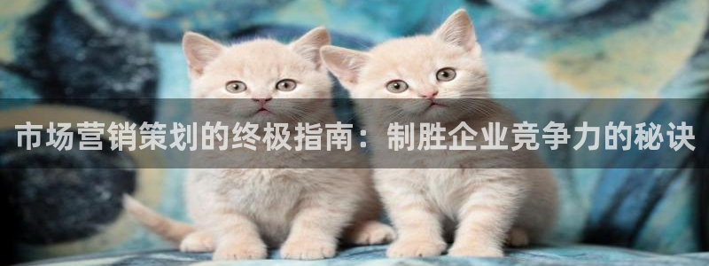 必赢官网网站入口下载