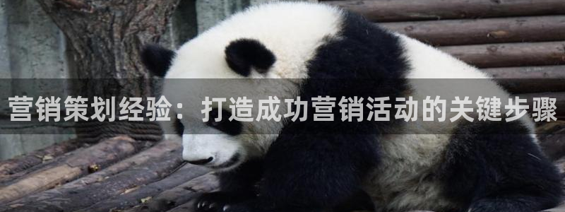 必赢下载ipad